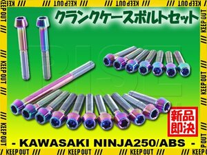 チタンボルト カワサキ Ninja250/ABS専用 ニンジャ250 EX250 2015-2017(- EX250LE011633) クランクケース エンジンカバー 20本 焼き色