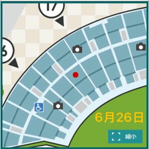 阪神甲子園球場 レフトスタンド　外野席　阪神対中日　6月26日　ペア　2枚連番