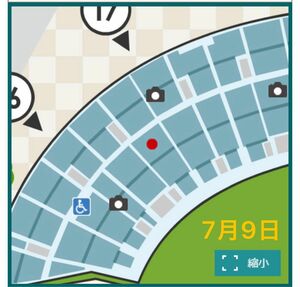 阪神甲子園球場 レフトスタンド　外野席　阪神対ヤクルト　7月9日　ペア　2枚連番