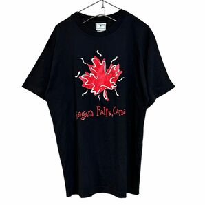 カナダ製 古着 "Ontario" Niagara Fallsプリント Tシャツ