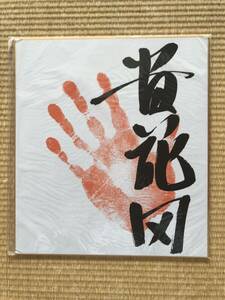  sumo . flower rice field hand-print printing 