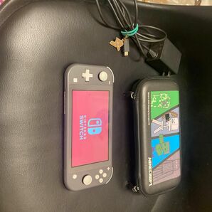 セット商品Nintendo Switch Lite本体 & 任天堂公式充電器 35ギガDカード マイクラスイッチケース合計4点