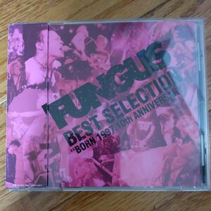 FUNGUS「BEST SELECTION」CD (ファンガス TRACY )