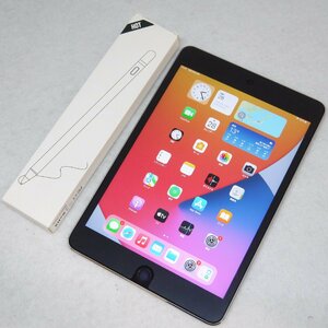 USED品・保管品 apple アップル iPad mini 4 64GB スペースグレイ MK9G2J/A Wi-Fiモデル 社外品タッチペン付き 現状品