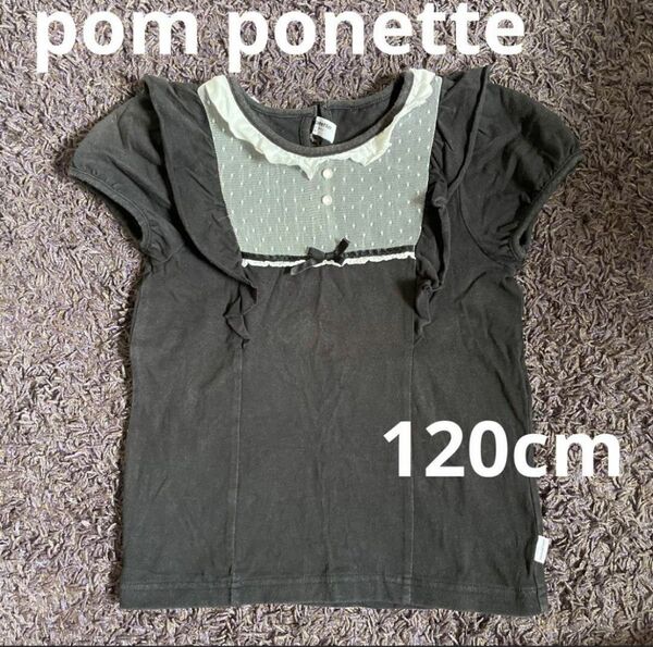 pom ponette 120cm トップス