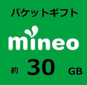 約30GB(29997MB)　　マイネオ mineo パケットギフト　複数購入可