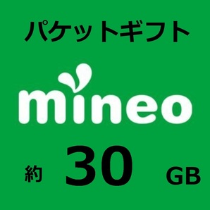 約30GB(29997MB)  マイネオ mineo パケットギフト 複数購入可 bの画像1