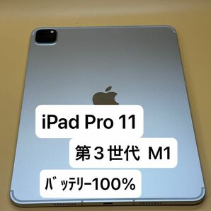 ﾊﾞｯﾃﾘｰ100% iPad Pro 11インチ　第3世代 M1 Wi-Fi＋Cellular 2021年モデル　訳あり