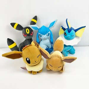 タグ付き ポケモン ぬいぐるみ 5体セット イーブイ シャワーズ ブラッキー グレイシア [R13093]