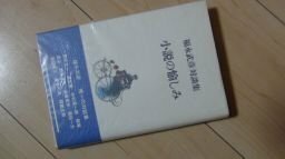 小説の愉しみ―福永武彦対談集