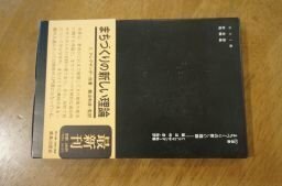 まちづくりの新しい理論 (SD選書)