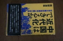 中国は近代化できるか―社会主義的発展途上国の苦悩