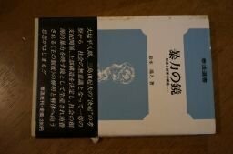 暴力の鏡―反逆と前衛の構造 (泰流選書)