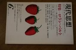 現代思想 1980年6月号 特集=ロラン・バルト ●バルトとソシュール/丸山圭三郎●ロラン・バルトの日本/M・パンゲ