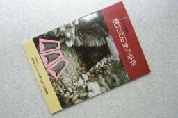 横穴式石室の世界　－しもつけにおけるその導入と展開　（図録）