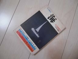 文芸雑誌　海　特集オスカル・パニッツァ　禁じられた作家の肖像　1980年