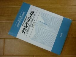 ゲオルク・ジンメル―現代分化社会における個人と社会 (シリーズ世界の社会学・日本の社会学)