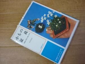 小もの盆栽?手軽に作れて楽しめる（生活をたのしむ本）