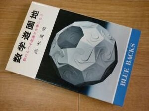 数学遊園地―数のもつ不思議さを楽しもう (ブルーバックス)