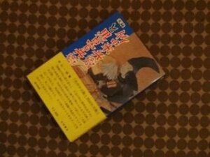 実録竹中半兵衛と黒田官兵衛