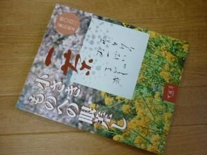 一茶 小さきものへの眼差し―野口白汀「書」の絵本