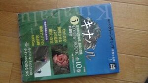 NHKグレートサミッツ 世界の名峰〈3〉キナバル (小学館DVD BOOK)