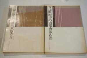 青森県歴史の道調査報告書(昭和57、59年調査合本)　2冊