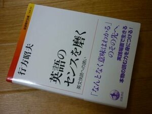 英語のセンスを磨く――英文快読への誘い (岩波現代文庫)