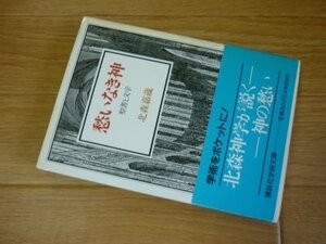 愁いなき神―聖書と文学 (講談社学術文庫)