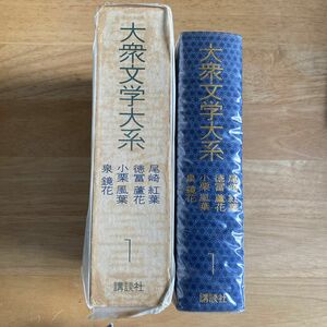 大衆文学大系1 尾崎紅葉、徳冨蘆花、小栗風葉、泉鏡花　講談社　昭和46年