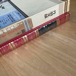 丹羽文雄　顔　日本文学全集27 河出書房版　昭和43年