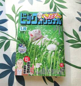 送料無料　ビッグコミックオリジナル ２０２４年５月２０日号 （小学館）