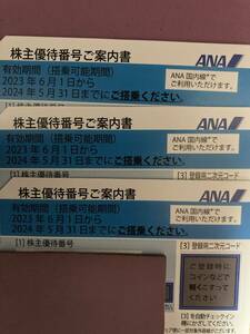 ANA株主優待券3枚セット（有効期限:2024年05月31日）