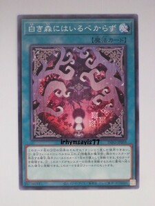 遊戯王 白き森にはいるべからず ノーマル 魔法 1枚 未使用品 日版 INFO 数量9 白き森