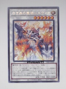 遊戯王 白き森の魔狼シルウィア 字レア 1枚 未使用品 日版 INFO 数量9 白き森