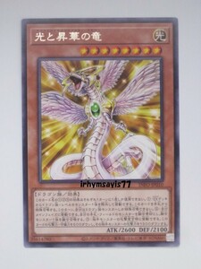 遊戯王 光と昇華の竜 字レア 1枚 日版 INFO 数量9 万丈目