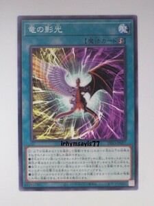 遊戯王 竜の影光 ノーマル 魔法 1枚 未使用品 日版 INFO 数量9 万丈目