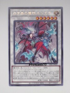 遊戯王 白き森の魔性ルシエラ 字レア 1枚 未使用品 日版 INFO 数量9 白き森