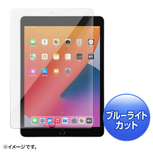 第9/8/7世代iPad10.2インチ用ブルーライトカット強化ガラスフィルム サンワサプライ LCD-IPAD102GBC 送料無料 新品