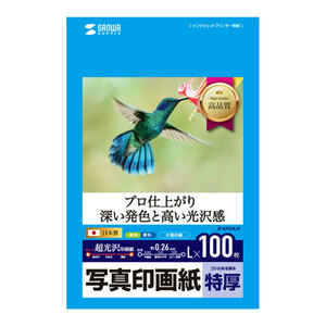 インクジェット写真印画紙 L判 フォト光沢 特厚 100枚 プロ仕上がり スナップ写真に最適 JP-EP2NLN サンワサプライ 送料無料 新品