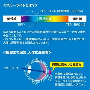 23.0型ワイド対応ブルーライトカット液晶保護指紋反射防止フィルム LCD-230WBCAR サンワサプライ 送料無料 新品