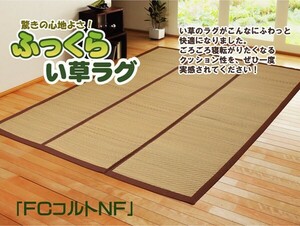 200×200cm FCコルトNF い草 ラグ カーペット ふっくら ボリュームラグ 滑り止め 夏 抗菌防臭 調湿 消臭 新生活 ID002 送料無料 新品