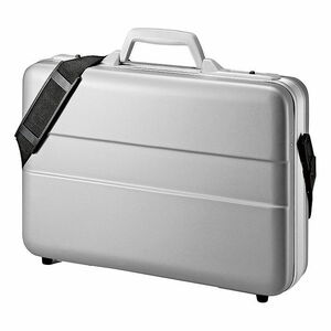 ABS ハード PC パソコン ケース（14インチワイド） シルバー ビジネス サンワサプライ BAG-ABS5N2 新品 送料無料