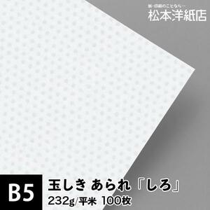 玉しき あられ しろ 232g/平米 B5サイズ：100枚 和紙 和風 素材 印刷紙 印刷用紙 和柄 模様 色紙 いろがみ