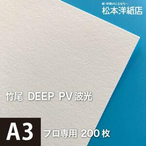 竹尾 DEEP PV 波光 A3サイズ：200枚 竹尾 紙 絵画紙 水彩紙 印刷紙 写真印刷用紙 インクジェット用紙