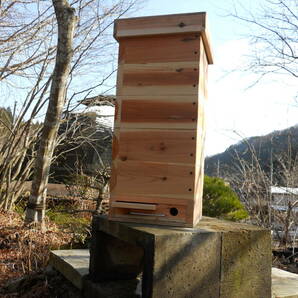 日本ミツバチ 重箱式5段待受箱 除し易くスムシ対策も！(巣箱の取説、捕獲のコツなどの参考資料付き)の画像1