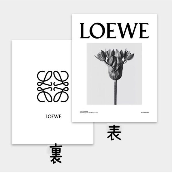 ダミーブック ダミー雑誌 ロエベ インテリア 洋書 撮影小物