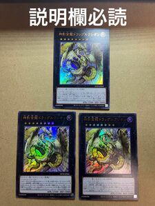 遊戯王 OCG 神影金龍 ドラッグルクシオン 3枚セット