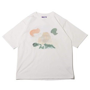 1円～ THE NORTH FACE PURPLE LABEL ザ・ノースフェイス パープルレーベル H/S Graphic Tee ハーフスリーブグラフィックティー Lサイズ A６