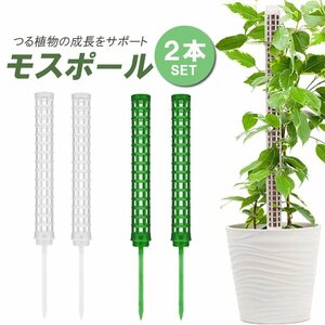 モスポール 支柱 2本セット 連結可能 観葉植物 モンステラ つる植物 着生植物 園芸支柱 植物支柱 水苔棒【グリーン】Z25C02S